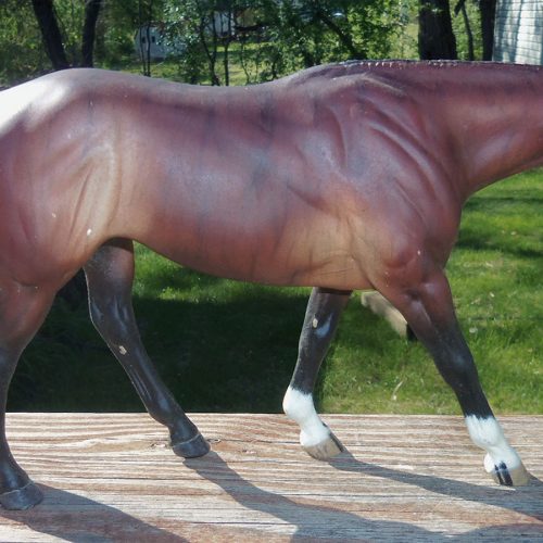 Bay brindle minimal pinto walking Quarter Horse mare – Star Dapple