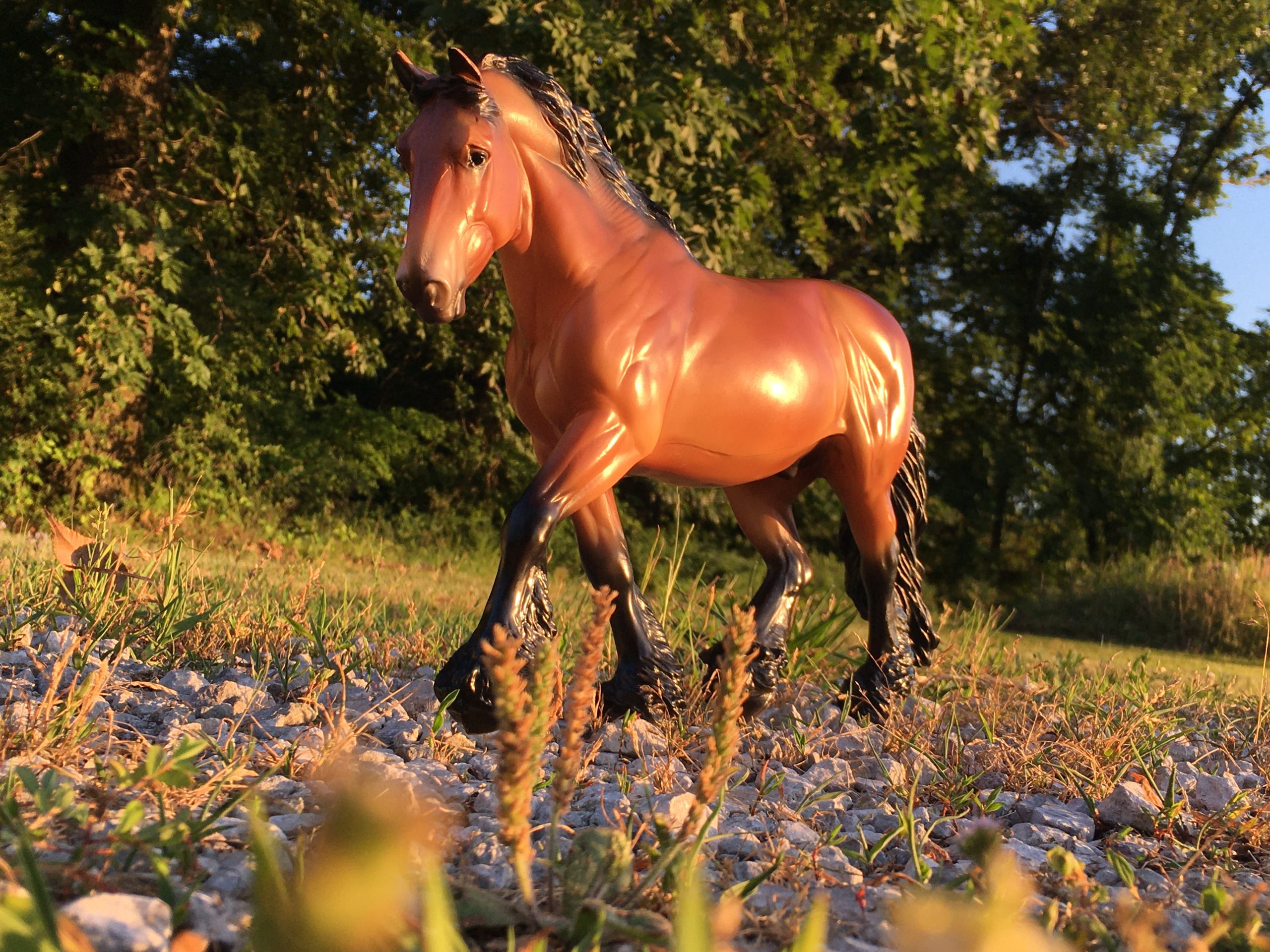 Kenzie’s Model Horses