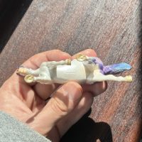 TSC 2024 Blind Bag SM Rare Chase Purple Trotting Warmblood - Image 4